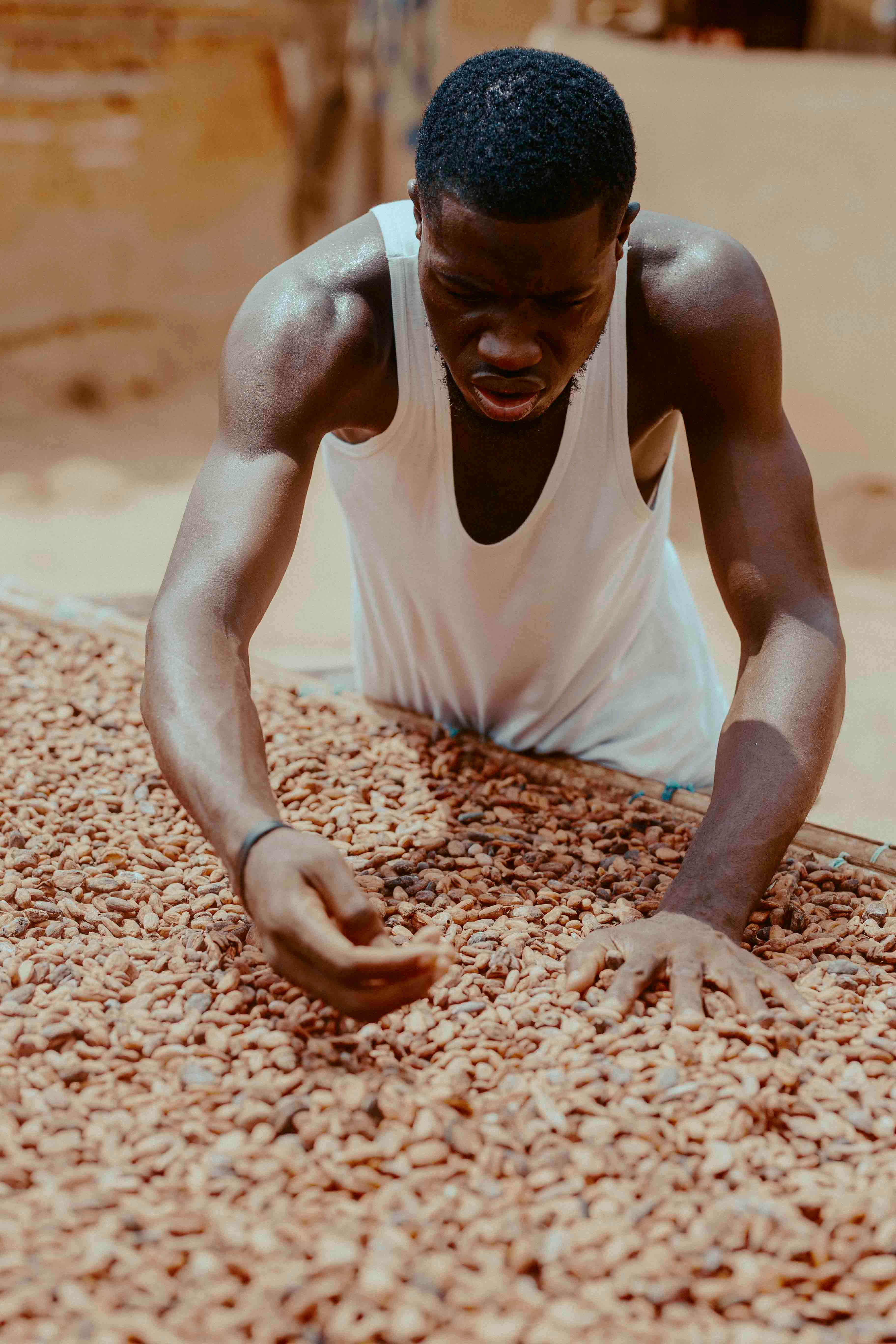 TRANSFORMATEUR DE CACAO